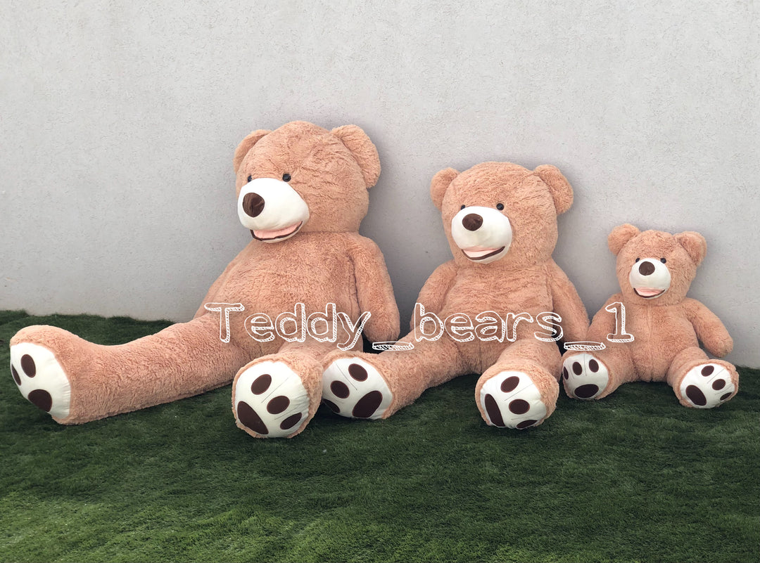 דובי גדול אמריקאי