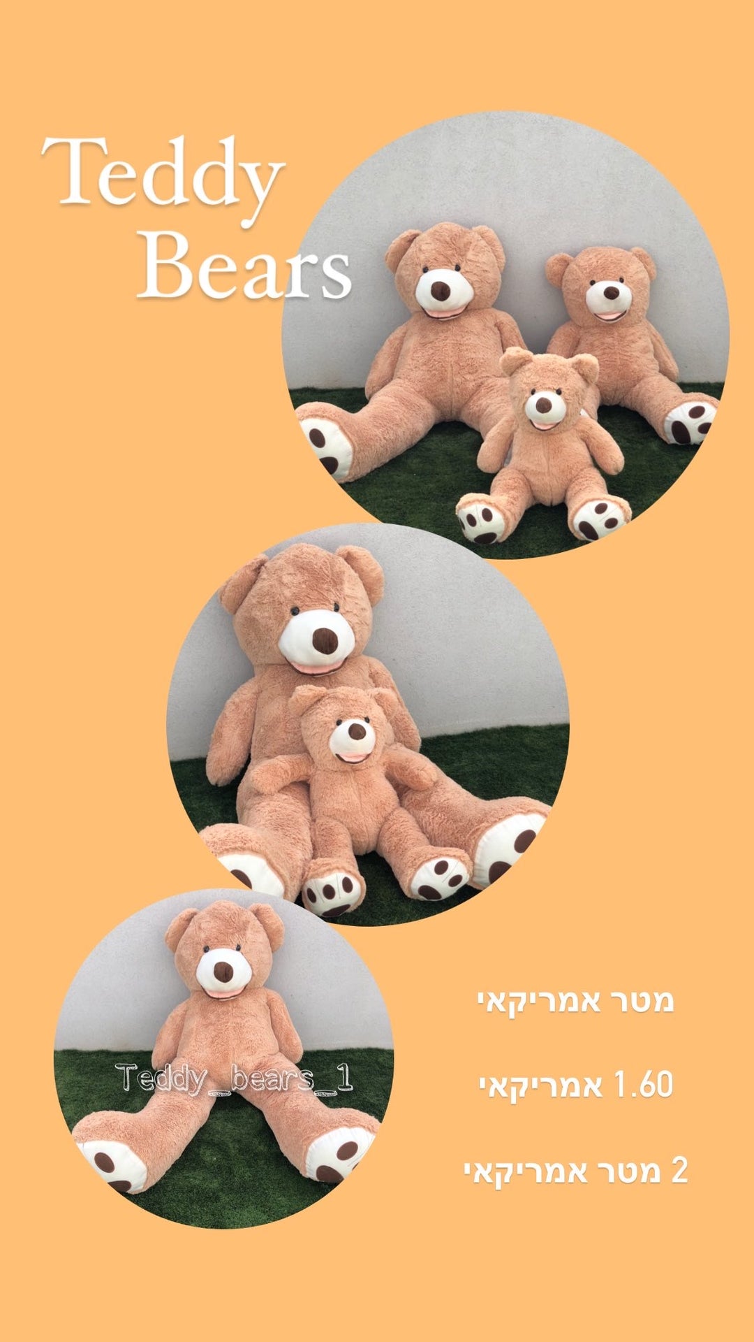 דובי גדול אמריקאי