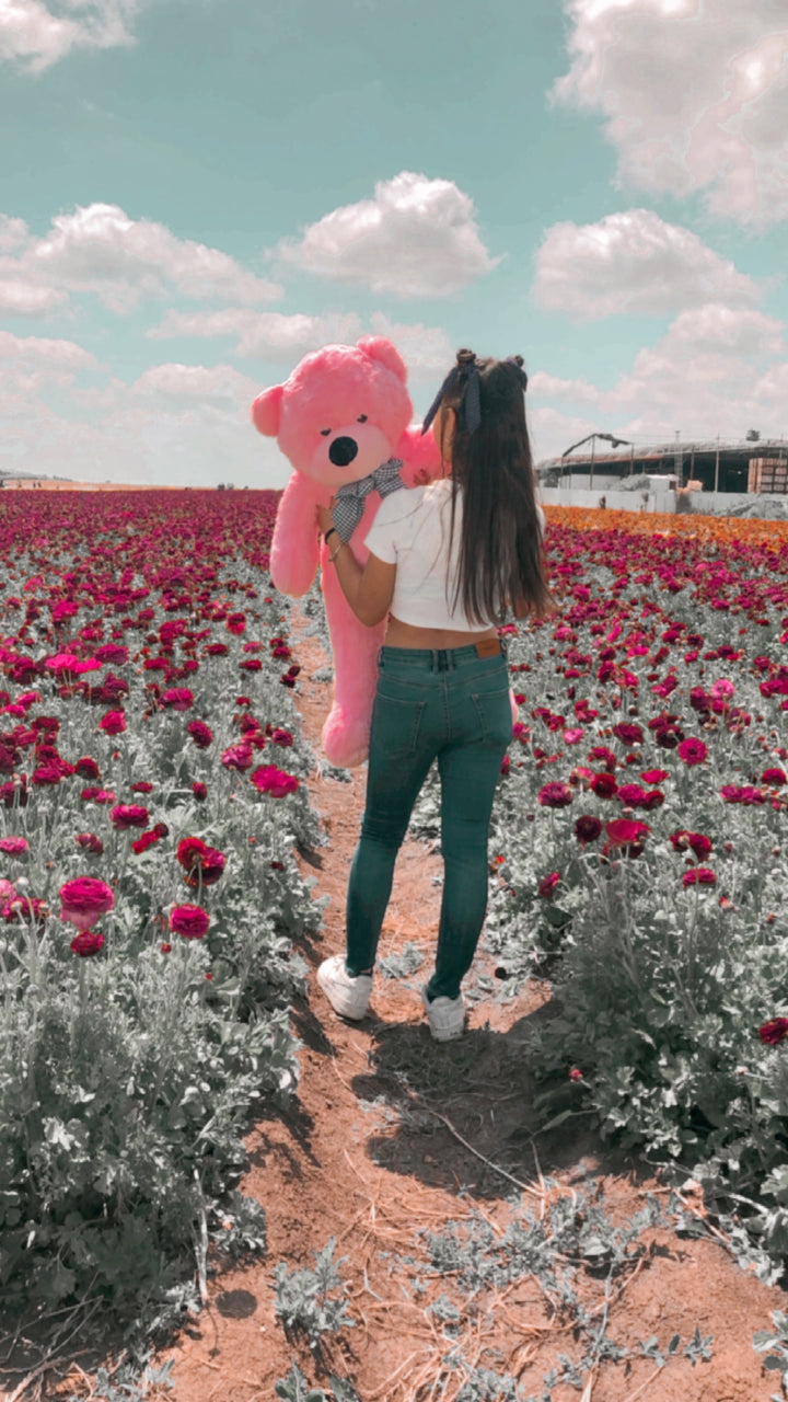 דובי ענק שתי מטר בצבע ורוד קלאסי (2 מטר)