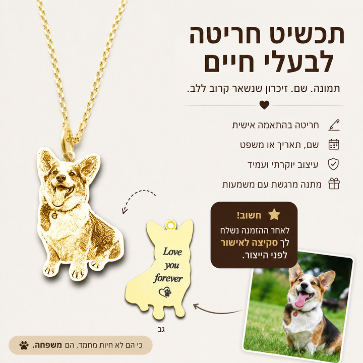שרשרת חריטה לבעלי חיים