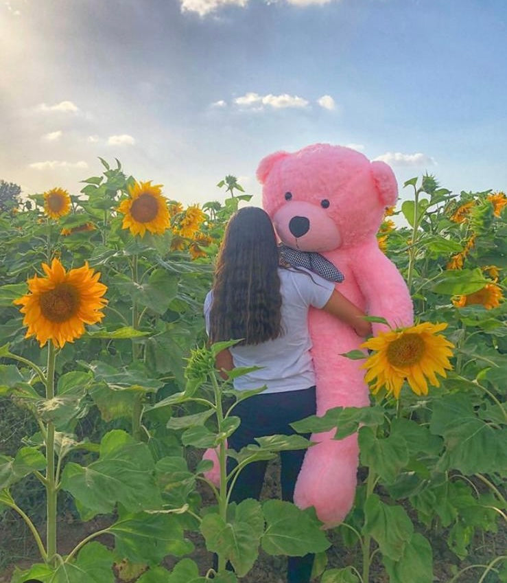 דובי ענק שתי מטר בצבע ורוד קלאסי (2 מטר)