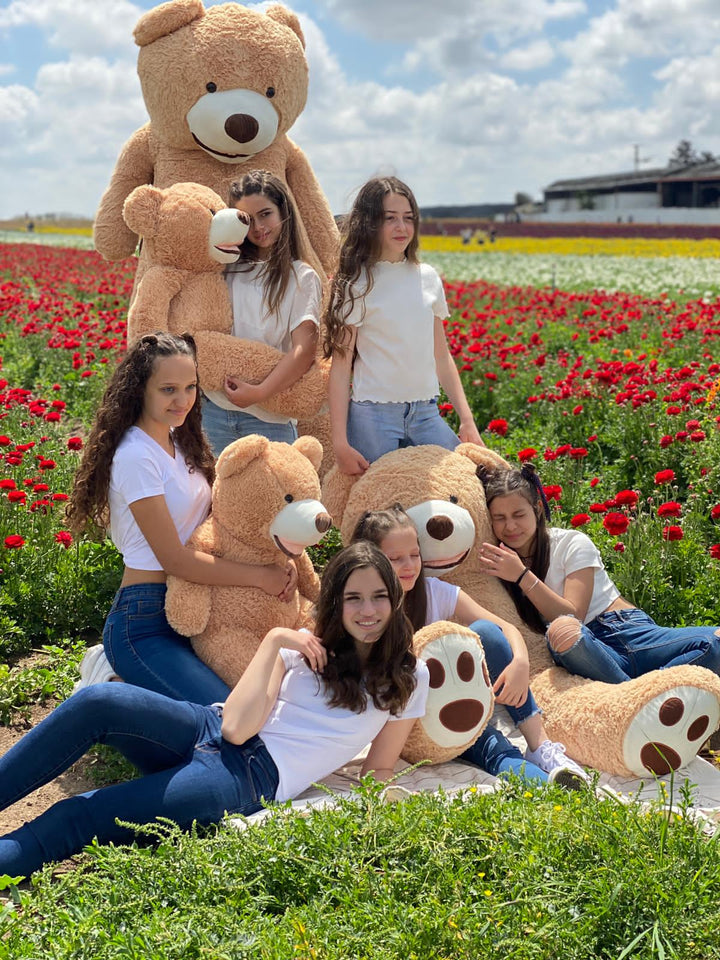 דובי גדול אמריקאי